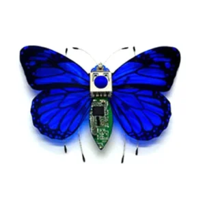 [Blue Butterfly] STEAM DIY Robotic Insects Science Invention Electronic Animal for School Competition Non-soldered DIY Kit Stem Toys Robot Animal