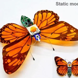 [Butterfly static] STEAM DIY Robotic Insects Science Invention Electronic Animal for School Competition Non-soldered DIY Kit Stem Toys Robot Animal