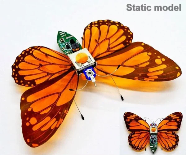 [Butterfly static] STEAM DIY Robotic Insects Science Invention Electronic Animal for School Competition Non-soldered DIY Kit Stem Toys Robot Animal
