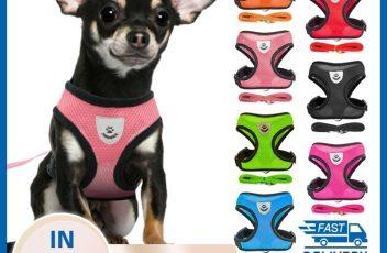Dogs-Puppy-Harness-Collar-Cat-Dog-Adjustable-Vest-Walking-Lead-Leash-Soft-Breathable-Mesh-Harness-For.jpg