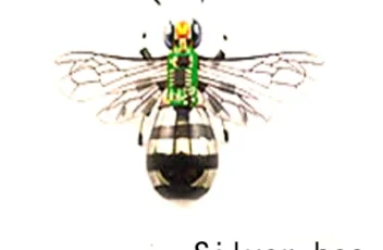 S5d17418b804f4b17bc483eeebffcedfed.webp