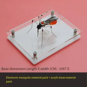 [写真の通り、ベース付き] STEAM DIY ロボット昆虫科学発明電子動物学校競技会用非はんだ付け DIYキットSTEMロボット動物