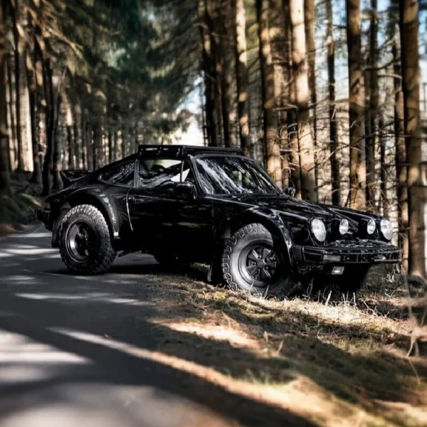 블랙: RZHOBBY 신제품 1/10 스케일 WRC9 다카르 933 랠리카 원격 조종 장난감 모델 고속 RC 오프로드 차량 시뮬레이션 디자인 - 이미지 4